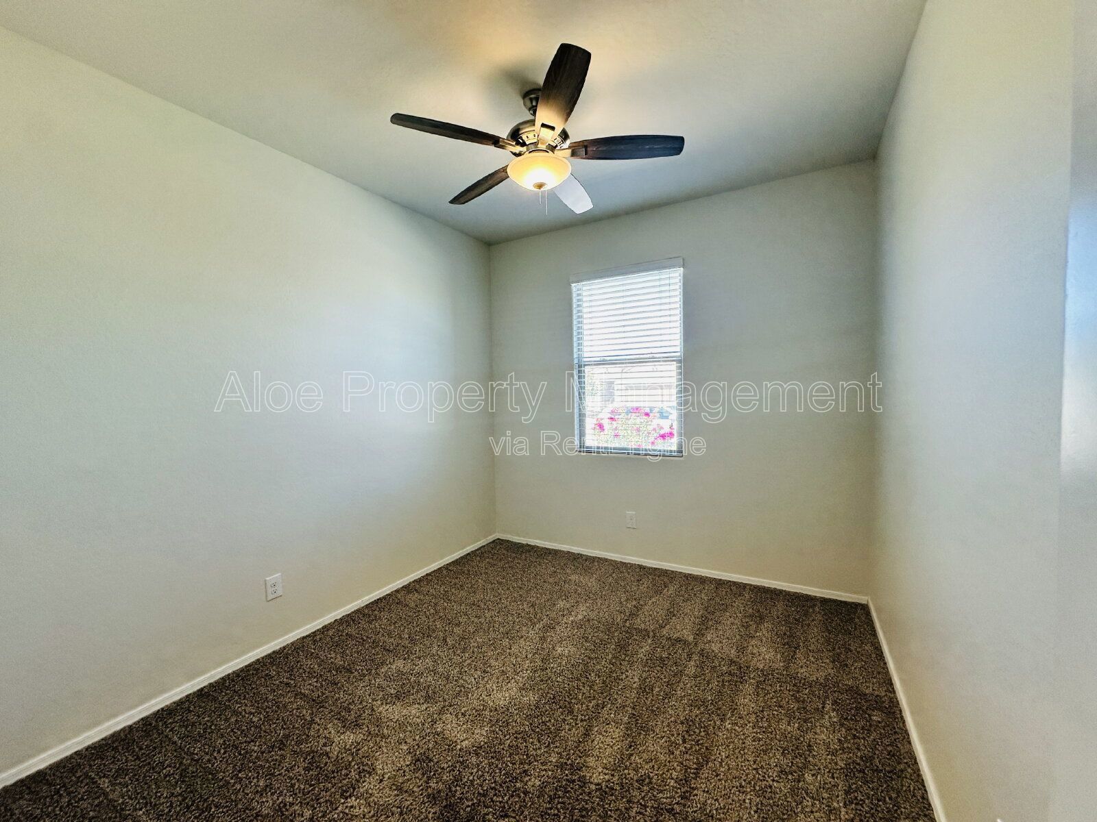 11473 E Aster Ln in Florence property image