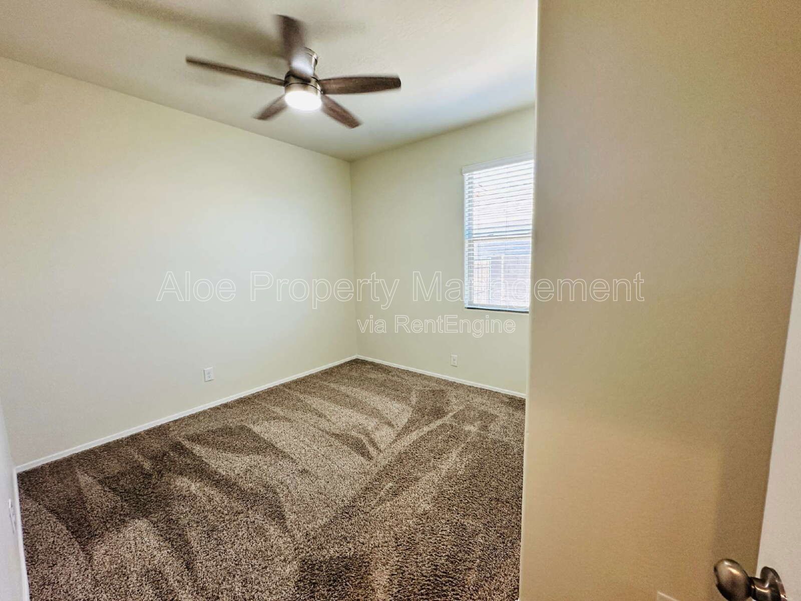 11473 E Aster Ln in Florence property image