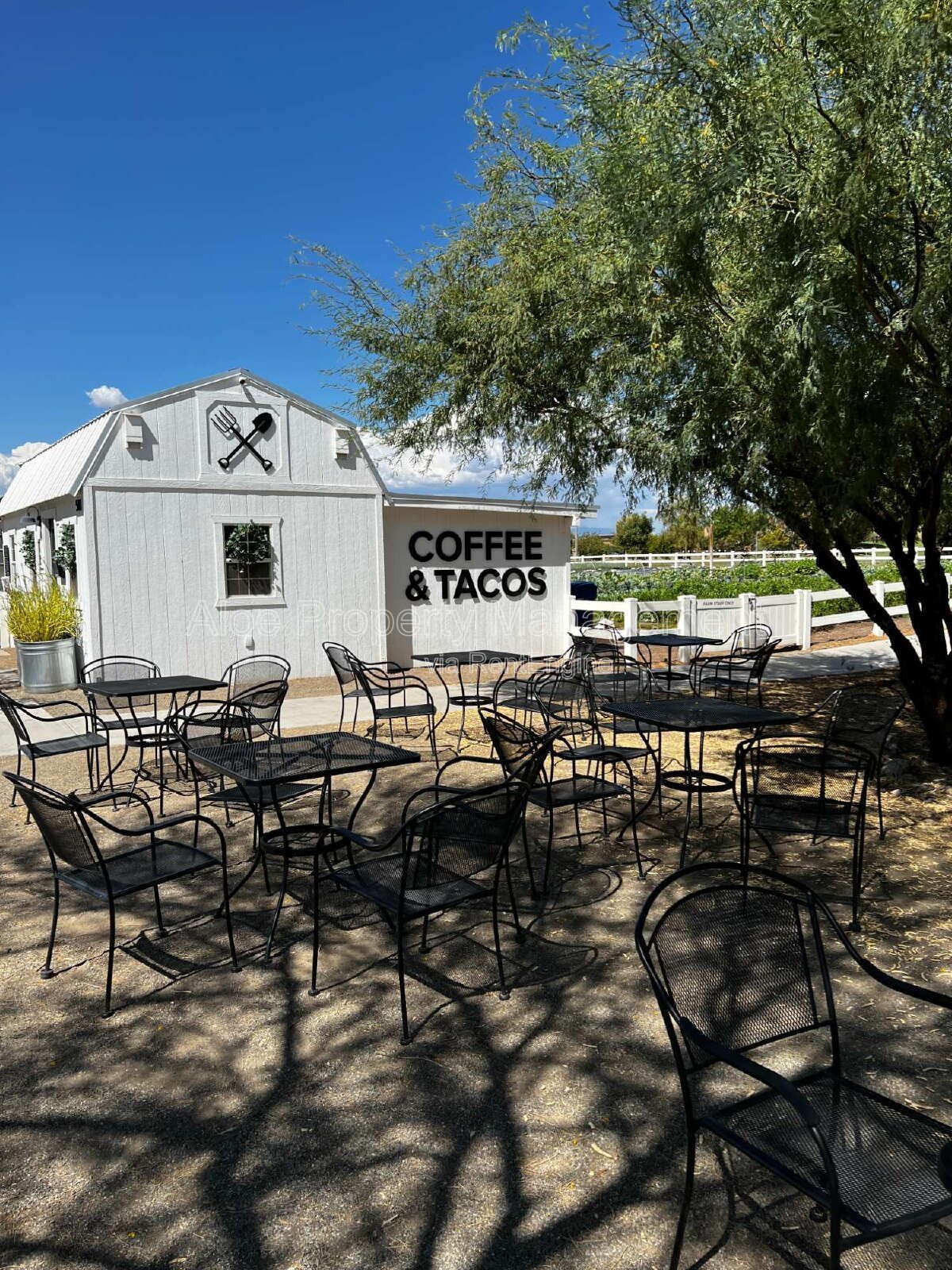 9846 E Talon Ave in Mesa - Cadence Community property image