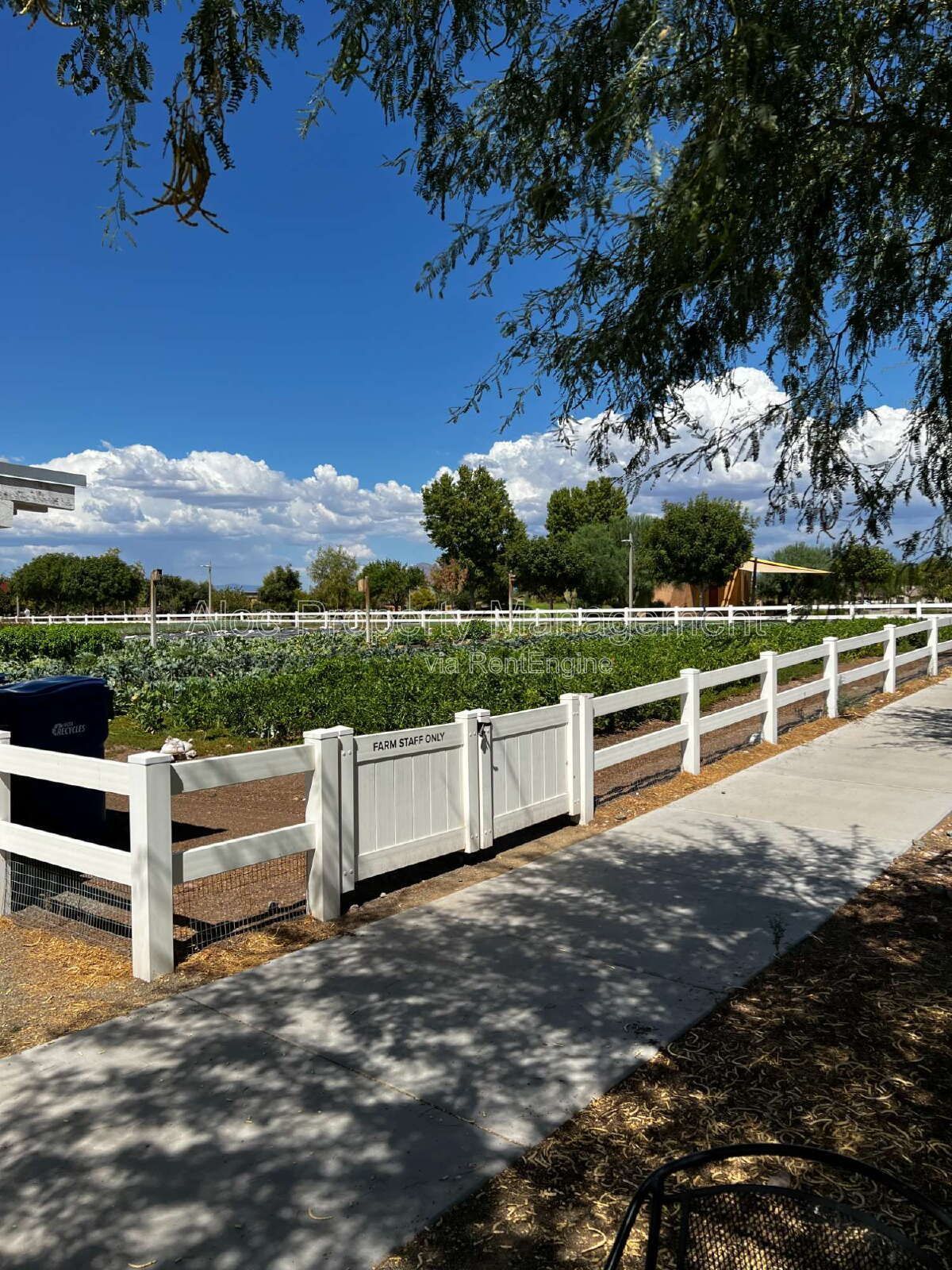 9846 E Talon Ave in Mesa - Cadence Community property image