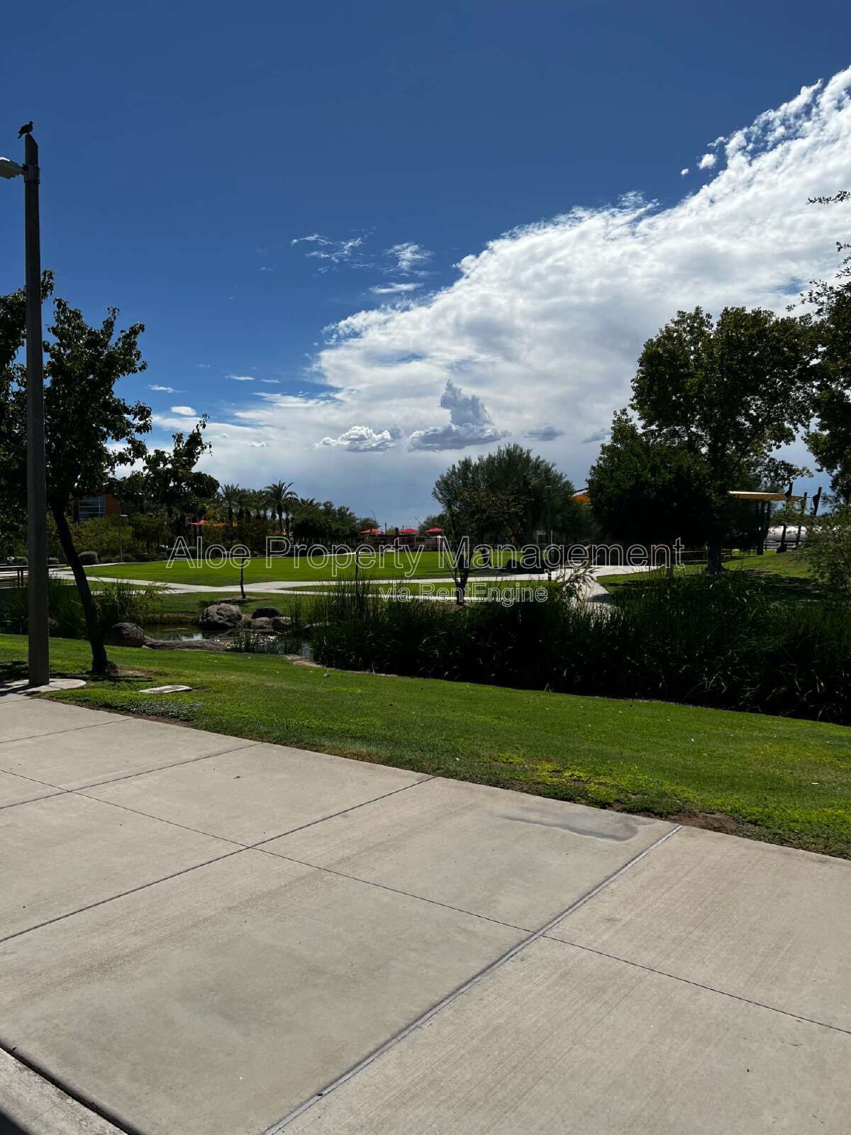 9846 E Talon Ave in Mesa - Cadence Community property image