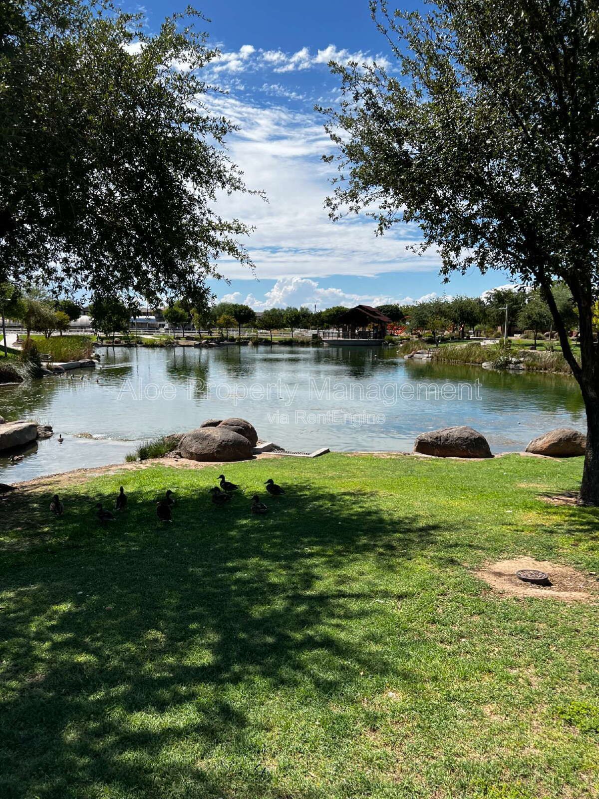 9846 E Talon Ave in Mesa - Cadence Community property image