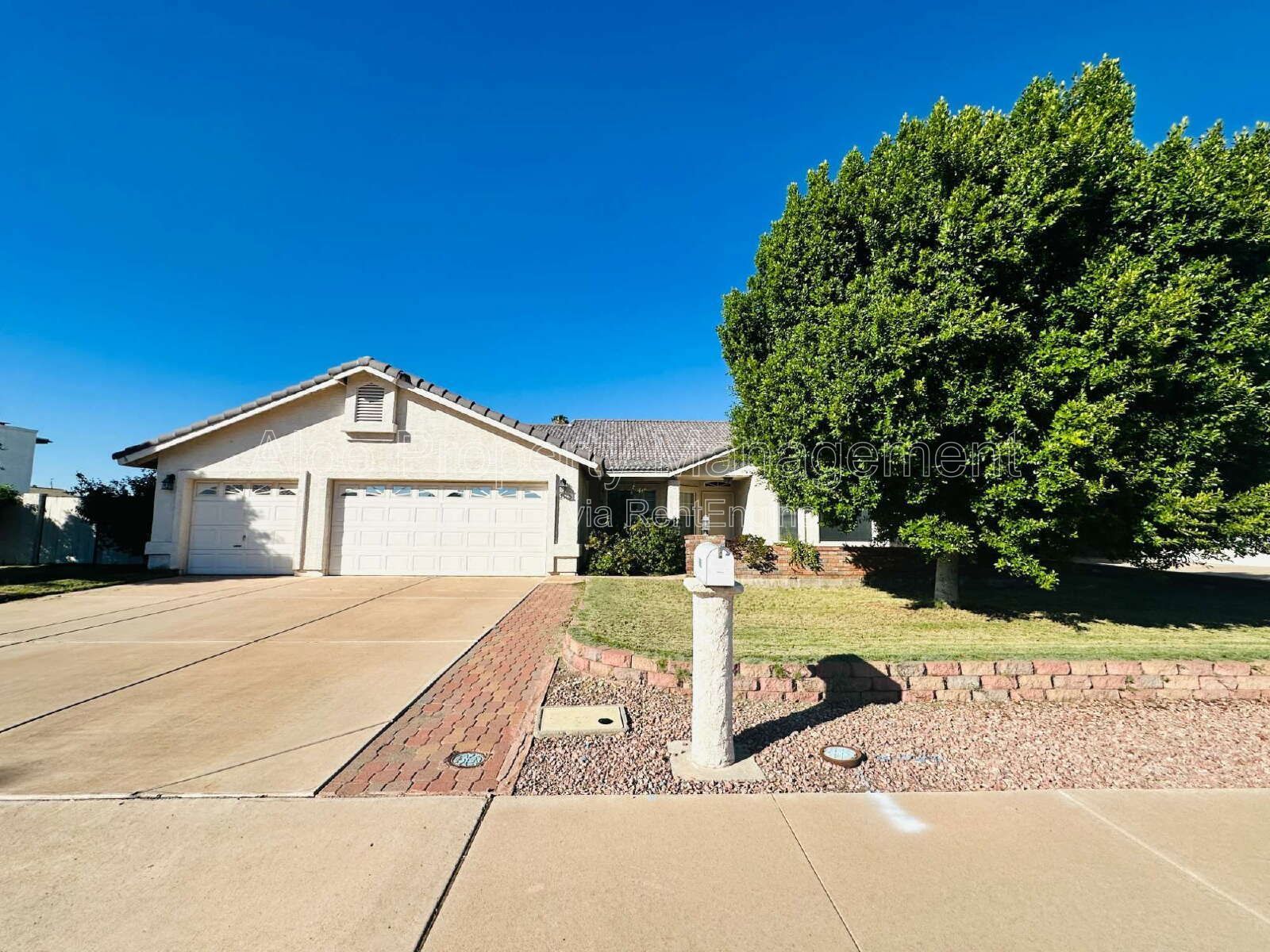 2110 East Enrose Circle in Mesa property image