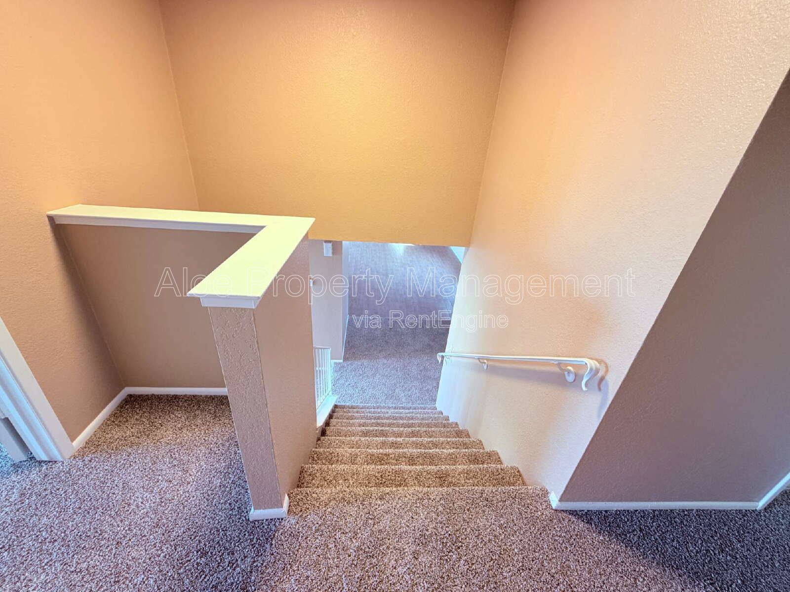 4612 W Jupiter Way in Chandler property image