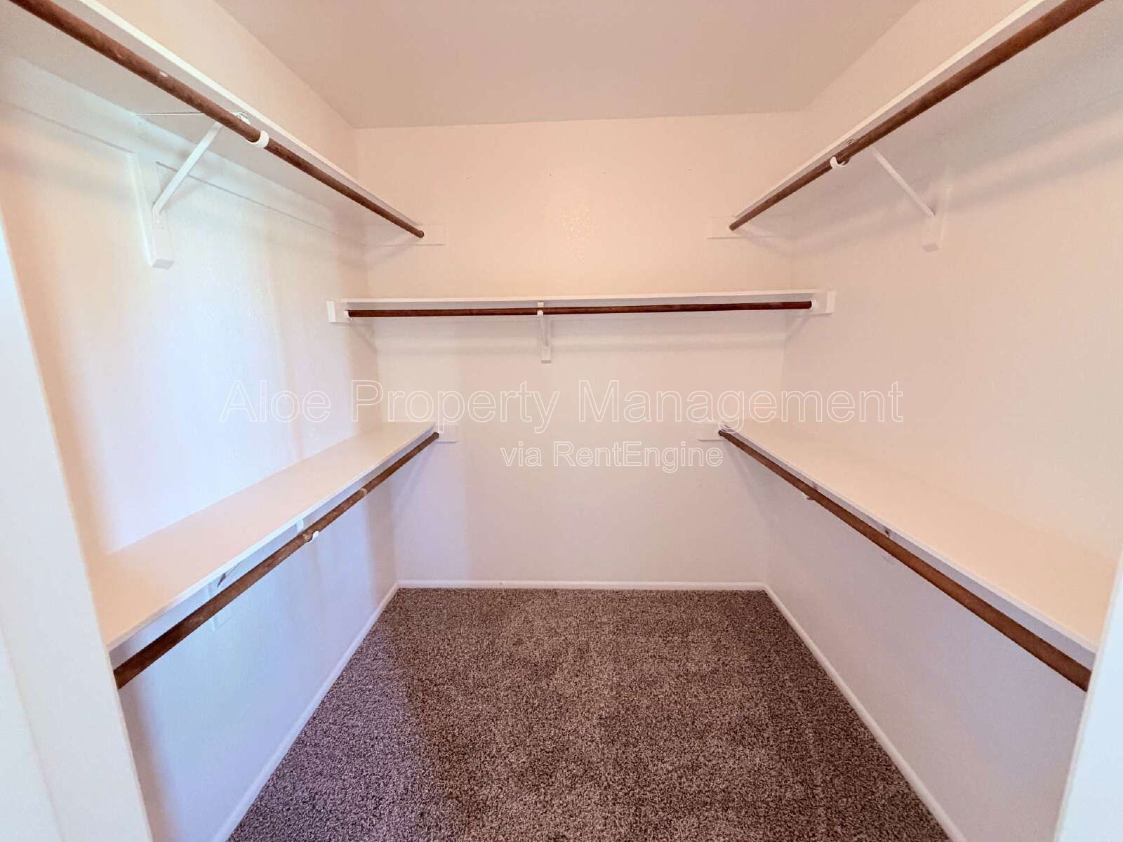 4612 W Jupiter Way in Chandler property image