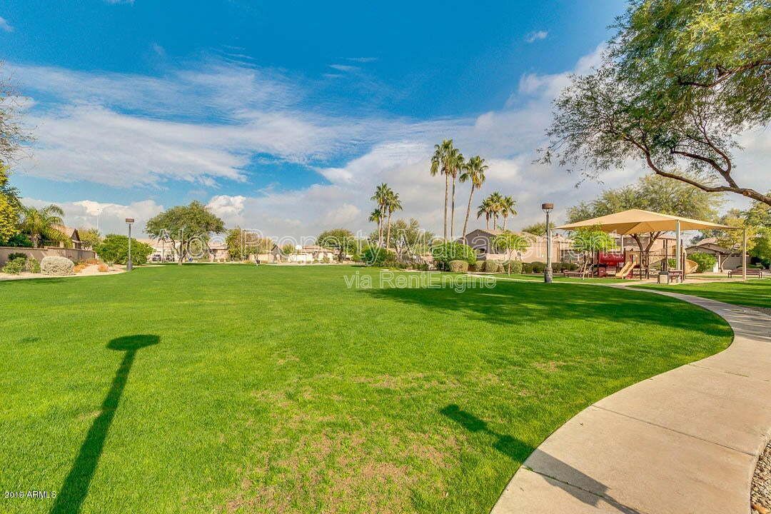 6321 S Four Peaks Pl in Chandler, AZ - Community Pool property image