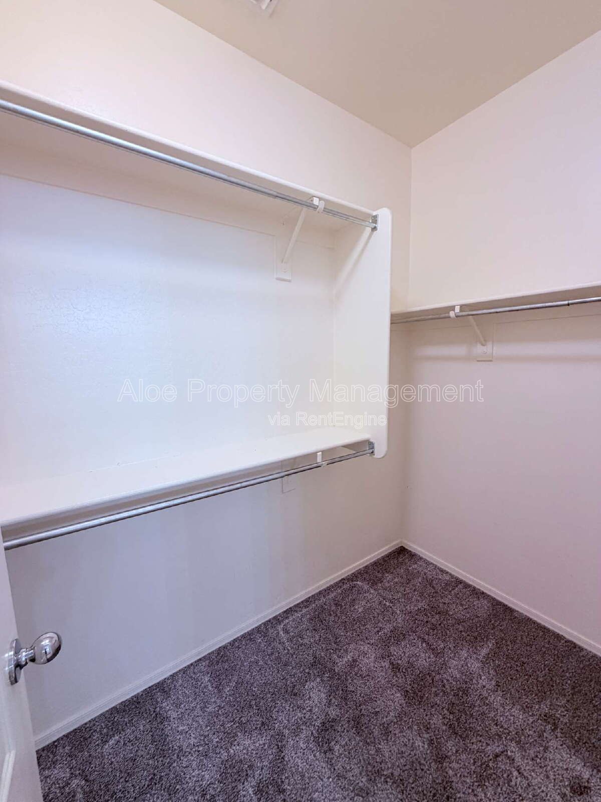 21121 East Via De Olivos in Queen Creek property image